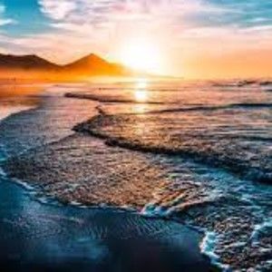 Meet your Posher, Sarina